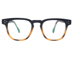 Ray Ban