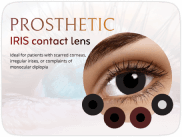 Top 5 Eyewear Trends for 2025